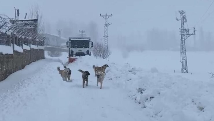 Şırnak’ta kapalı köy yolları dozerlerle açılıyor