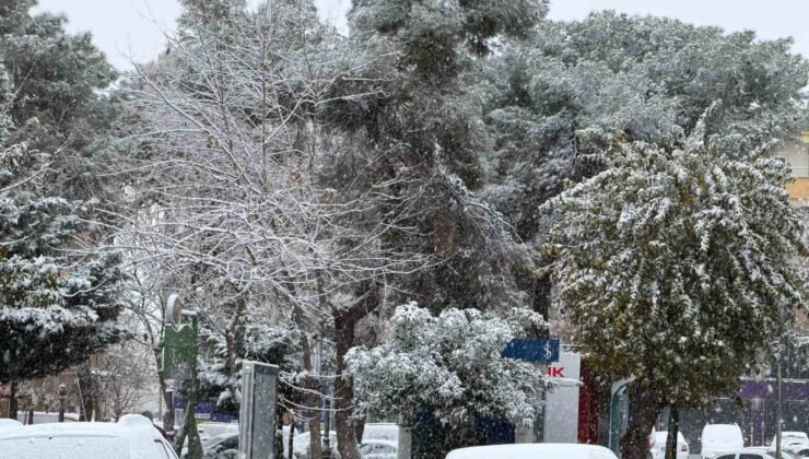 Siverek’te kar yağışı hayatı olumsuz etkiledi