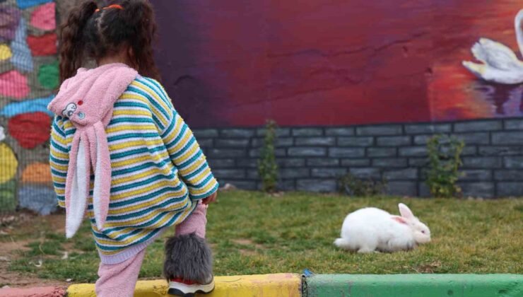 Sivrice Kadın Cezaevi, EuroPris’te 30 ülkeyi geride bırakarak birinciliği aldı