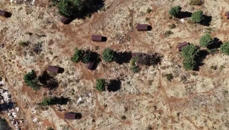 Sokak hayvanları sıcak yuvaya kavuştu