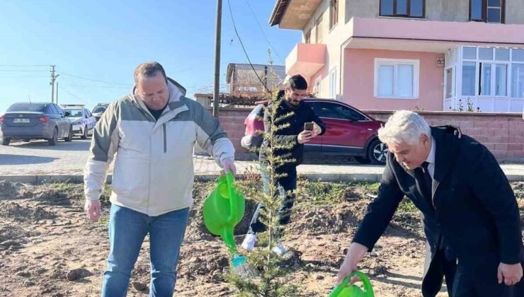 Şuhut İlçe Emniyet Müdürlüğü Hatıra Ormanı oluşturuldu