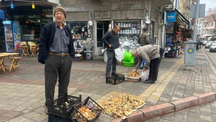 Tavşanlı’da Aralık ayı sonunda da Melki mantarı bereketi