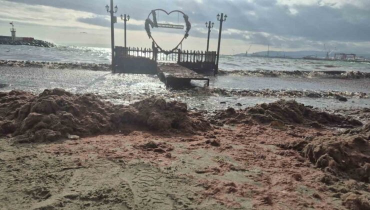 Tekirdağ’da lodos kıyıyı vurdu, kızıl yosunlar sahili kapladı