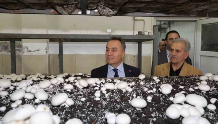 TOGÜ’de üretime dayalı eğitim modelleri güçleniyor