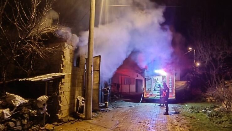 Uşak’ta samanlıkta çıkan yangında 5 koyun telef oldu