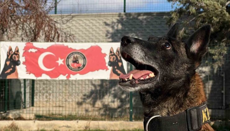 Uyuşturucu tacirlerinin ‘Bulamazlar’ dedikleri zulaları burunları ile patlatıyorlar