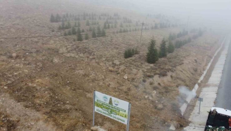 Yahyalı’ya bin 200 fidan dikildi