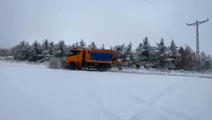 Yozgat’ta karle mücadele çalışmaları sürüyor