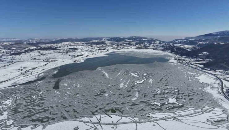870 hektarlık Ladik Gölü buz tuttu: Kar yağışı göle can suyu oldu