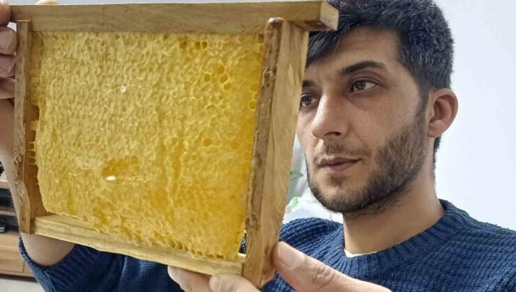 Araban’da üretilen bala yoğun talep