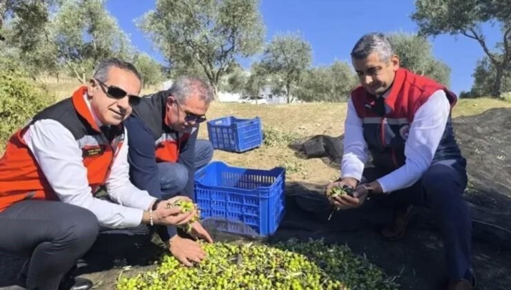 Aydın’da bir yılda 3 bini aşkın tarımsal denetim yapıldı