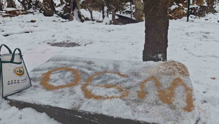 Batman’da yaban hayatı unutulmadı