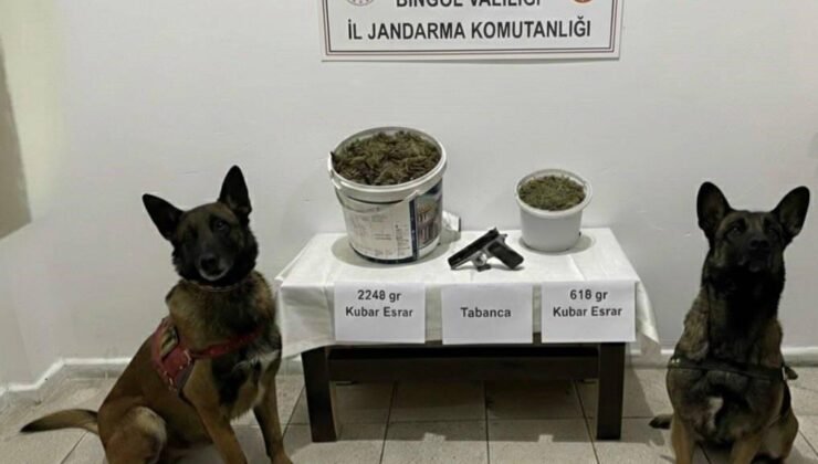 Bingöl’de uyuşturucu operasyonu: 3 gözaltı