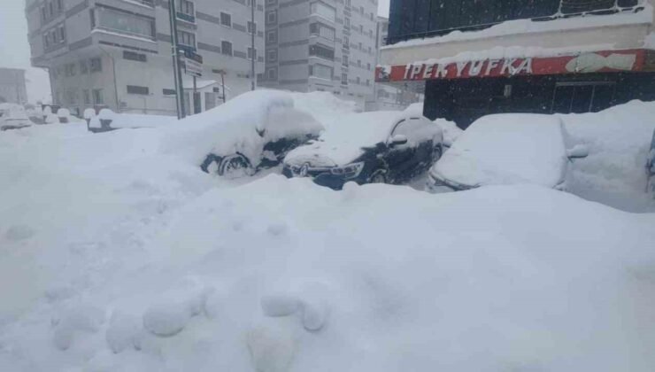 Bitlis’te kuvvetli kar, fırtına ve çığ tehlikesi uyarısı