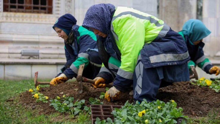 Bursa kışın da çiçek bahçesine dönüşüyor