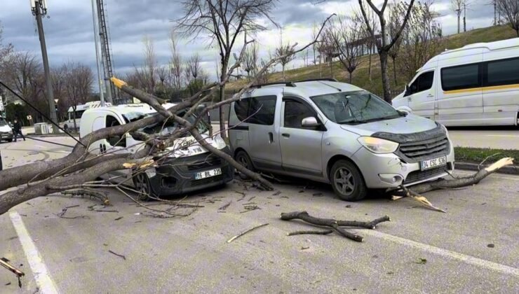 Bursa’da seyir halindeki araçların üzerine ağaç devrildi