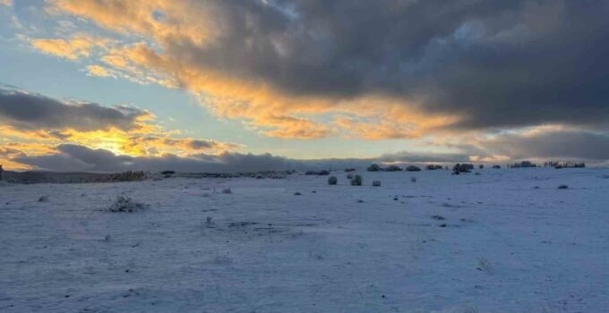 Çimsa, şehitlik için 80 yıllık rezervden feragat ediyor