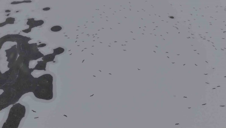 Cip Baraj Gölü buz tuttu