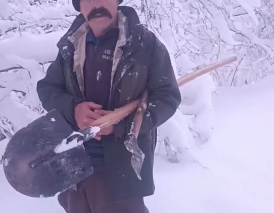 Çobanın yardım çağrısına valilik anında karşılık verdi: Karlı yollar aşılarak hayvanlara yem ulaştırıldı