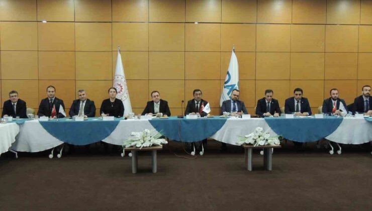 DAP bölgesi kalkınma ajansları ‘Yerel kalkınma hamlesi’ vizyonuyla toplandı