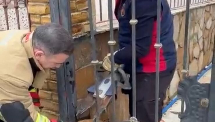 Demir korkuluklara sıkışan köpeği itfaiye kurtardı