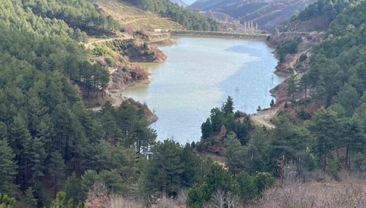 Denizli’de göletlerin doluluk oranları yağışlara rağmen istenilen seviyeye ulaşmadı