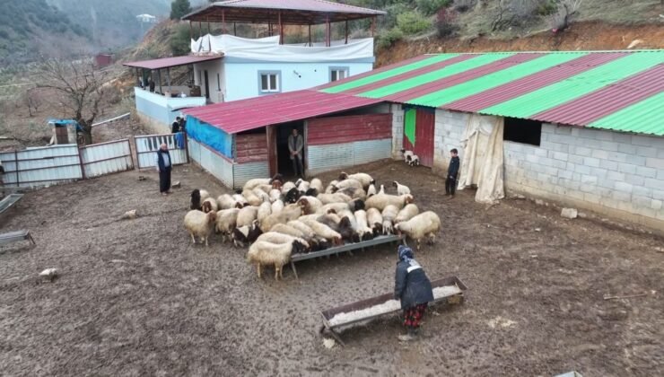 Depremzede besici devlet desteğiyle hayata tutundu