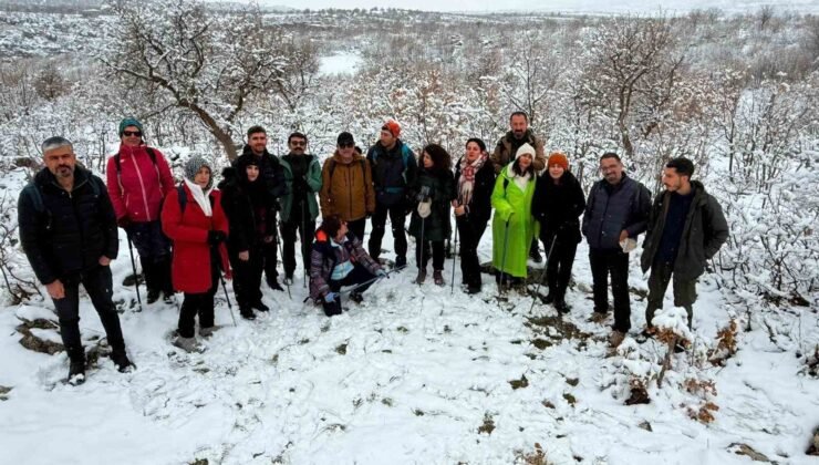 Dicle’de doğa tutkunlarının yeni gözdesi: Bawkan Vadisi ve şelaleleri
