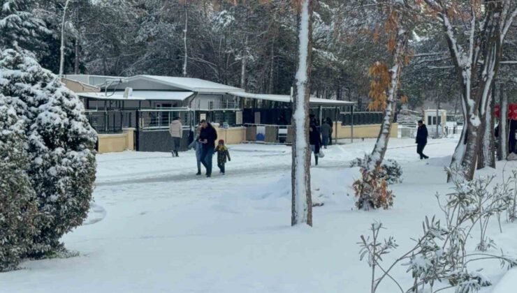 Diyarbakır’da kar yağışı çileye dönüştü