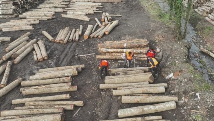 Düzce’den 23 bin 391,39 ton orman ürünü ihraç edildi