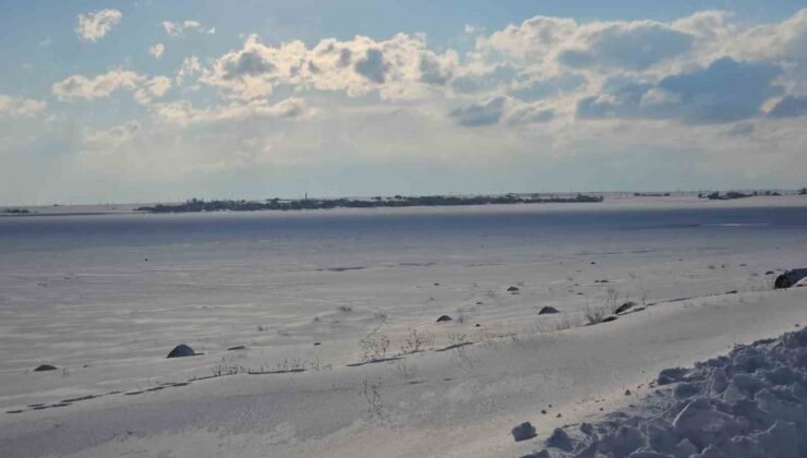 ‘Kuş cenneti’ Arin Gölü tamamen dondu