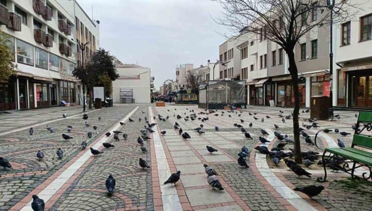 Edirne’de kar gitti, ayaz geldi: Pandemi günlerini aratmayan sessizlik