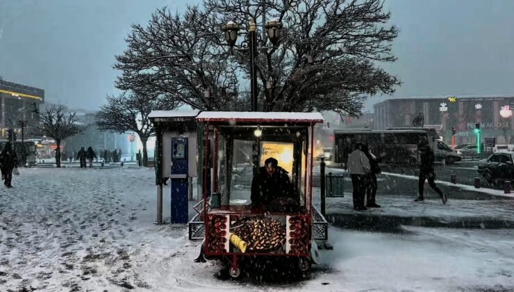 Erzincan’da lapa lapa kar yağışı