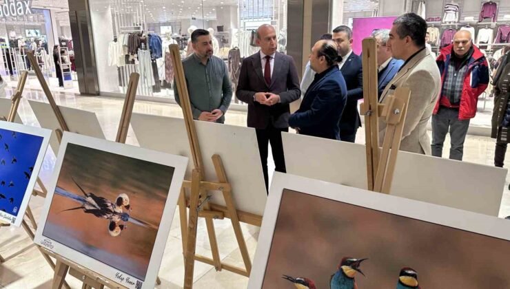 “Gaziantep’in Kuşları” sergisi açıldı