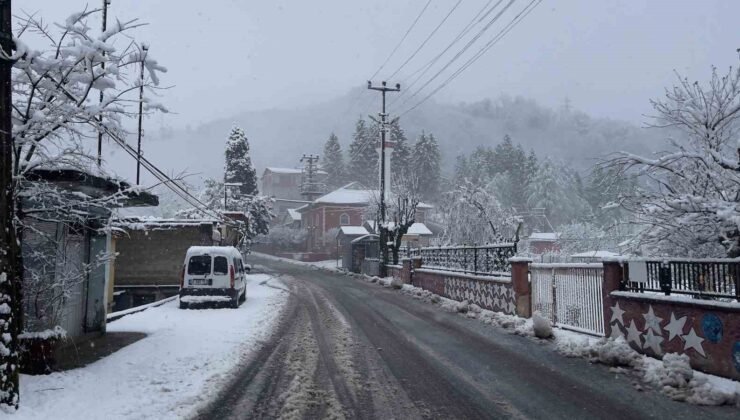 Giresun’da 7 ilçede eğitime kar engeli
