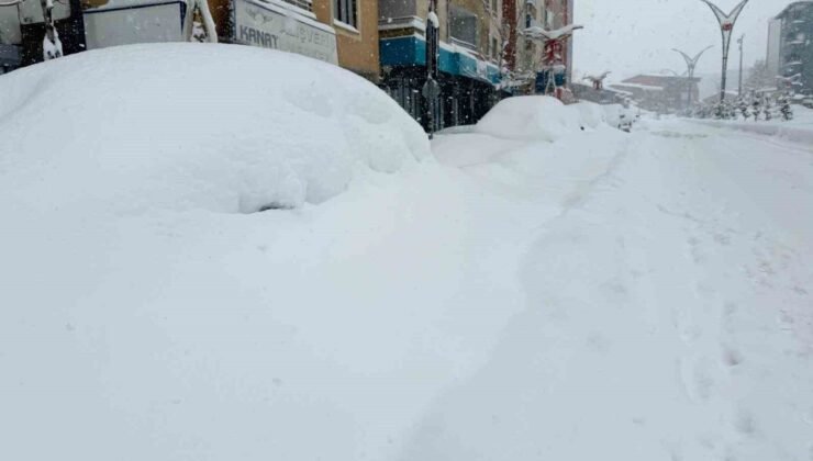 Hakkari’de 357 yerleşim yerinin yolu kapandı