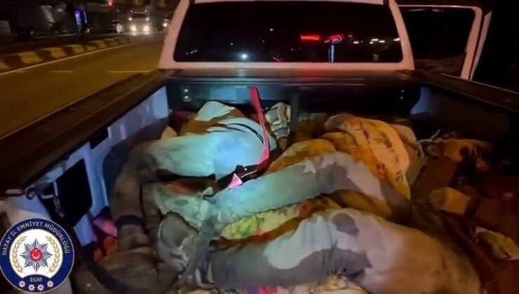 Hatay’da 8 kaçak göçmen yakalandı, 2 organizatör tutuklandı