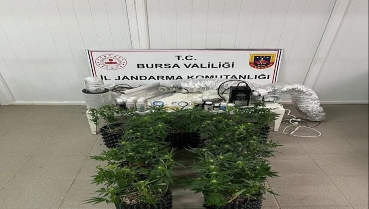 İnegöl’de uyuşturucu operasyonu: Evde esrar üretim düzeneği ele geçirildi