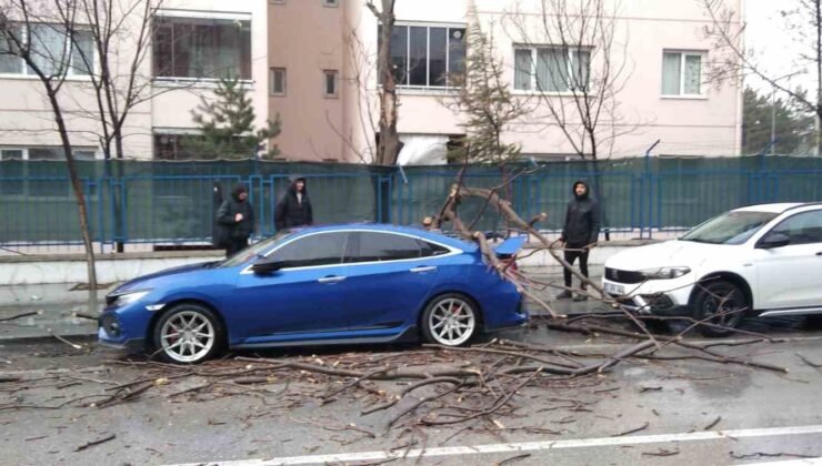 Isparta’da fırtına ağaçları devirdi, araçlar hasar gördü