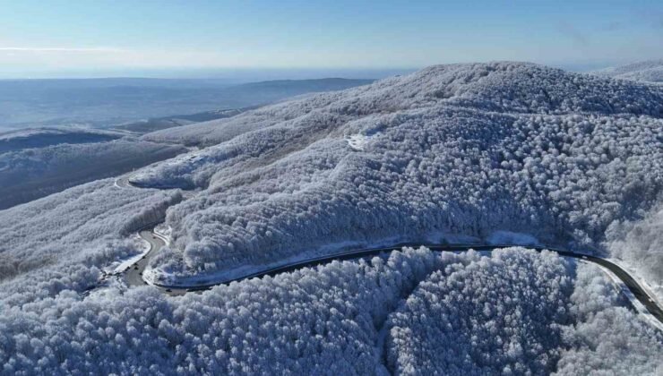 Istranca ormanlarında kar manzaraları