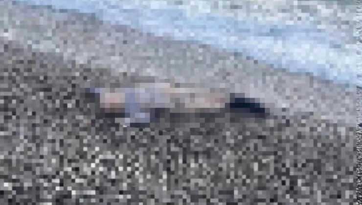 İzmir’de deniz kıyısında çocuk cesedi