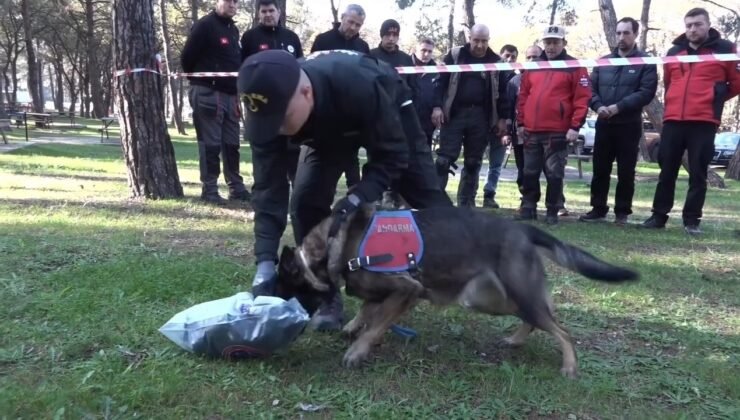Jandarmadan nefes kesen tatbikat: ‘Mercek’ iz sürdü, kayıp 3 dakikada bulundu