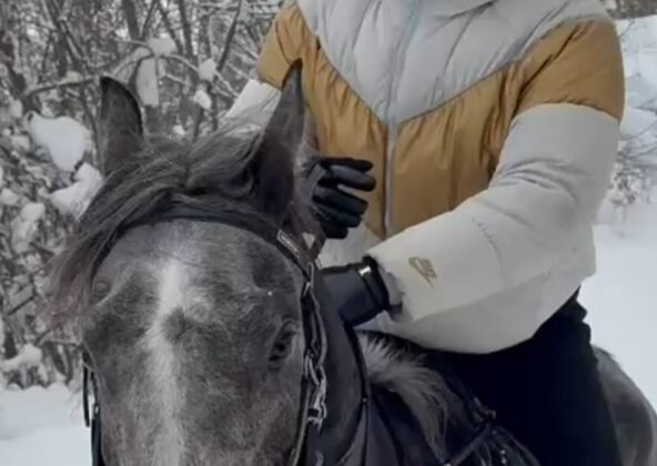 Kar üstünde dört nala at şovu
