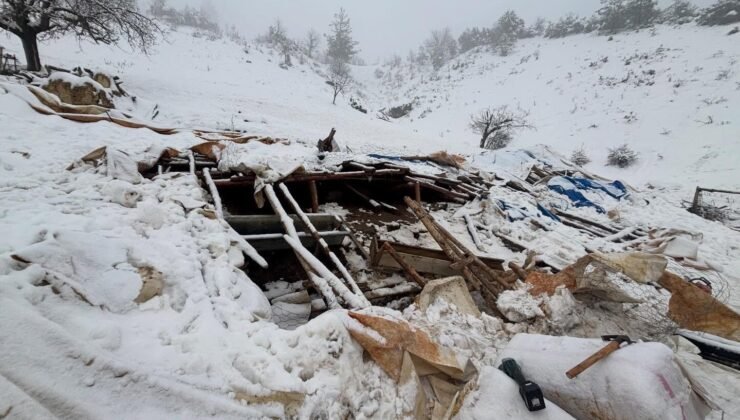 Karaman’da karın ağırlığına dayanamayan ahırın çatısı çöktü