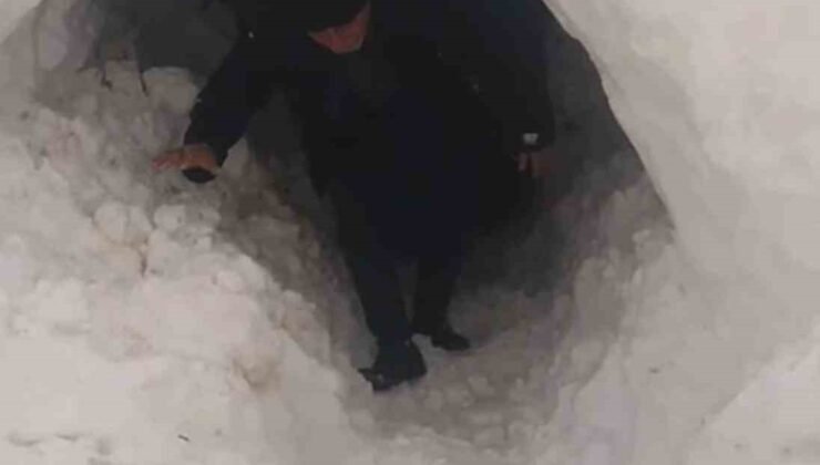 Kardan kapanan ahıra tünel açarak girdiler