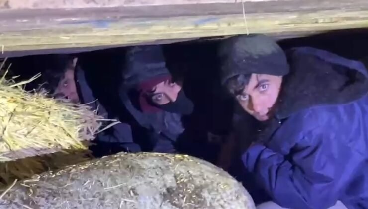 Kars’ta saman balyaları arasından kaçak göçmen çıktı: 1 tutuklama
