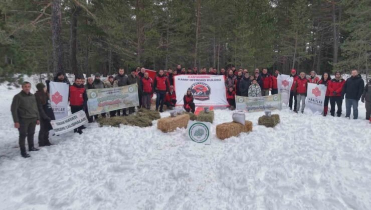 Kastamonu’da karla kaplanan ormanlara yaban hayvanları için yiyecek bırakıldı