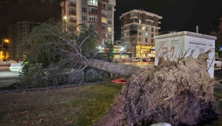 Kayseri’de kuvvetli rüzgar: Ağaç otomobilin üzerine devrildi
