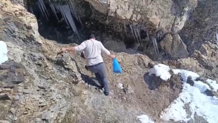 Keklikler için doğaya yem bıraktılar