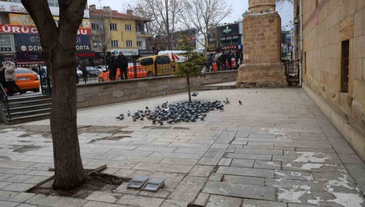 Kırşehir’de tarihi Kapucu Camii güvercinlerin yuvası oldu